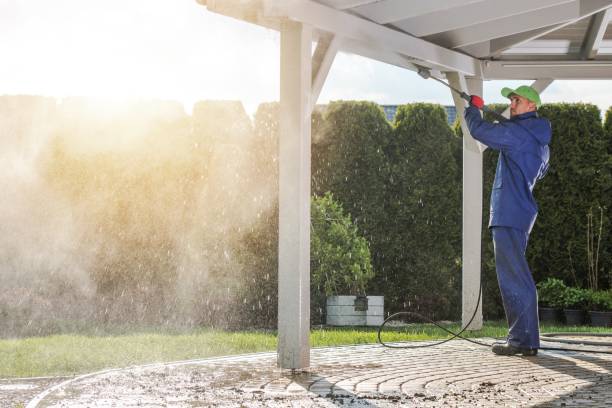 Best Spring Cleaning  in Yerington, NV